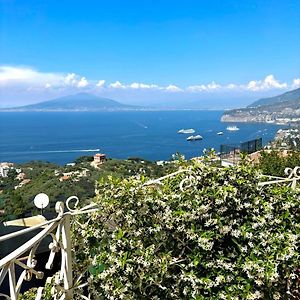 Il Belvedere